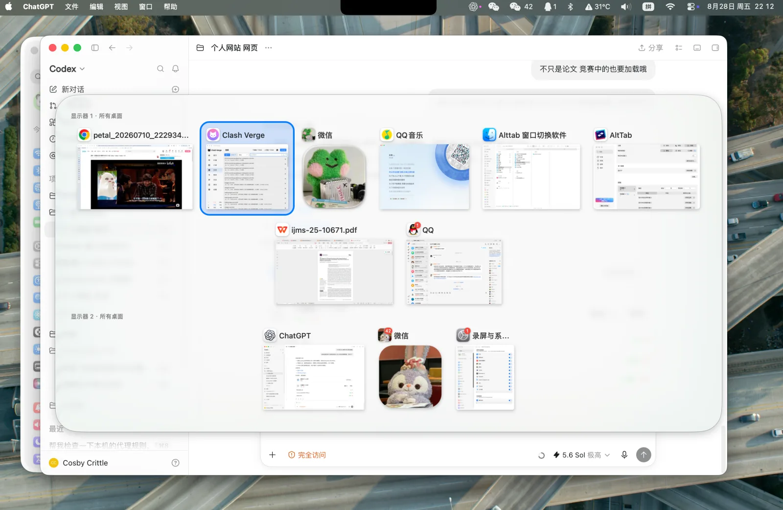 AltTab full-screen runtime view